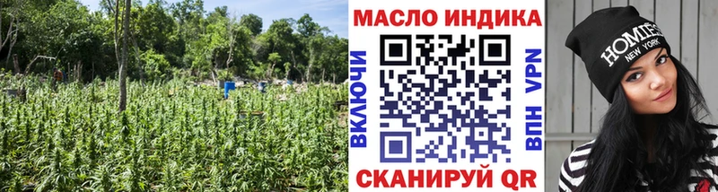 Дистиллят ТГК Wax Полярные Зори