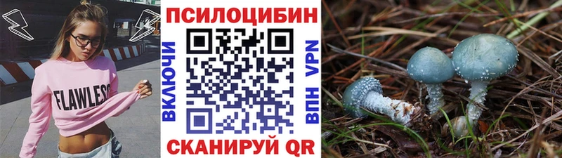 Галлюциногенные грибы GOLDEN TEACHER  Полярные Зори 