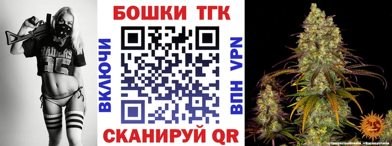 Бошки Шишки ГИДРОПОН  Полярные Зори 